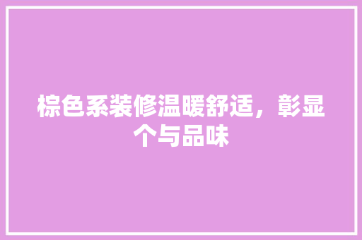 棕色系装修温暖舒适，彰显个与品味