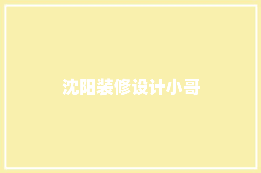 沈阳装修设计小哥