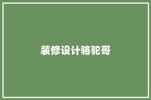 装修设计骆驼哥