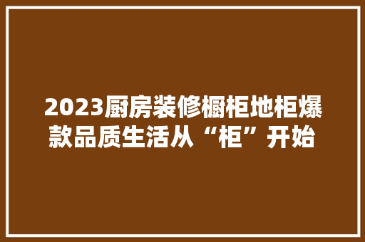 2023厨房装修橱柜地柜爆款品质生活从“柜”开始