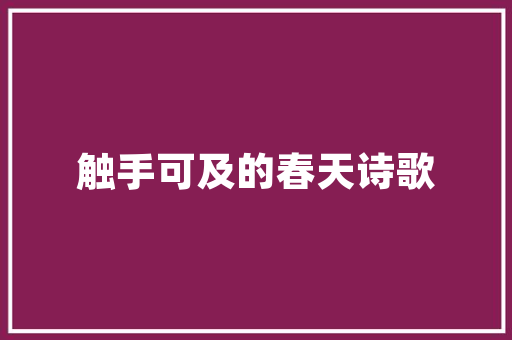 文本刷屏代码掌握流量密码，让你的内容瞬间走红