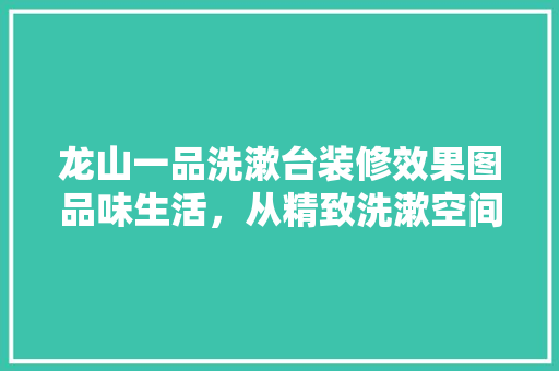 龙山一品洗漱台装修效果图品味生活，从精致洗漱空间开始