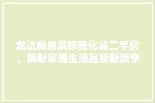 龙达尚品装修新化县二手房，焕新家居生活品质新篇章