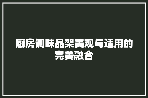 厨房调味品架美观与适用的完美融合