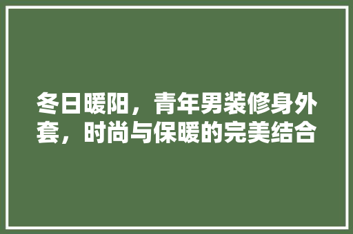 冬日暖阳，青年男装修身外套，时尚与保暖的完美结合