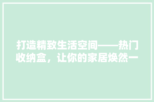 打造精致生活空间——热门收纳盒，让你的家居焕然一新！