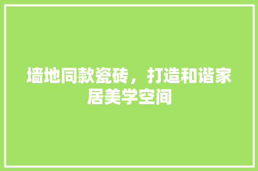 墙地同款瓷砖，打造和谐家居美学空间