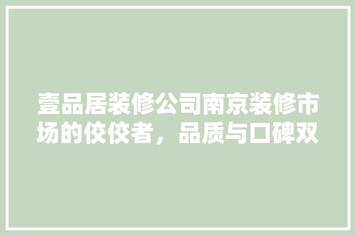 壹品居装修公司南京装修市场的佼佼者，品质与口碑双丰收