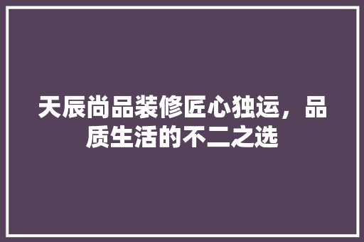 天辰尚品装修匠心独运，品质生活的不二之选