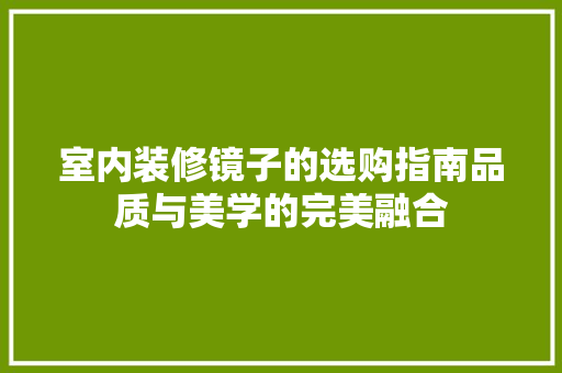 室内装修镜子的选购指南品质与美学的完美融合