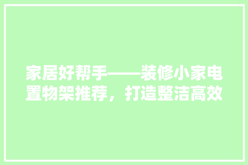 家居好帮手——装修小家电置物架推荐，打造整洁高效厨房空间