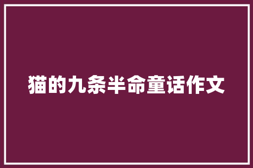 品味木门艺术，打造温馨家居——一品木门装修文案句子大全