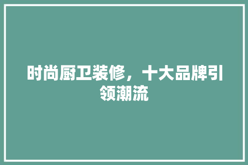 时尚厨卫装修，十大品牌引领潮流