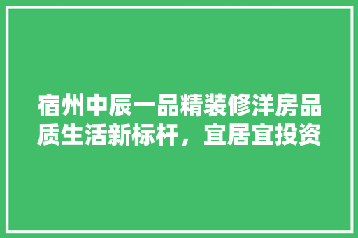 宿州中辰一品精装修洋房品质生活新标杆，宜居宜投资的智慧之选