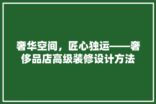 奢华空间，匠心独运——奢侈品店高级装修设计方法
