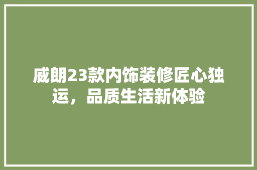 威朗23款内饰装修匠心独运，品质生活新体验