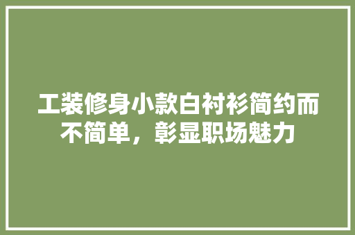 工装修身小款白衬衫简约而不简单，彰显职场魅力