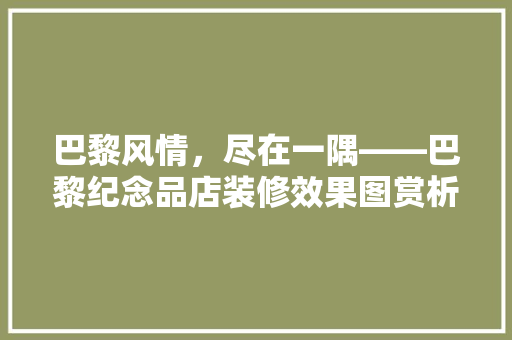 巴黎风情，尽在一隅——巴黎纪念品店装修效果图赏析