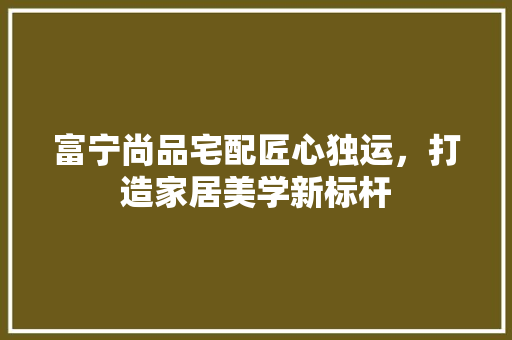 富宁尚品宅配匠心独运，打造家居美学新标杆