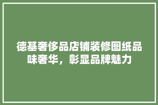 德基奢侈品店铺装修图纸品味奢华，彰显品牌魅力