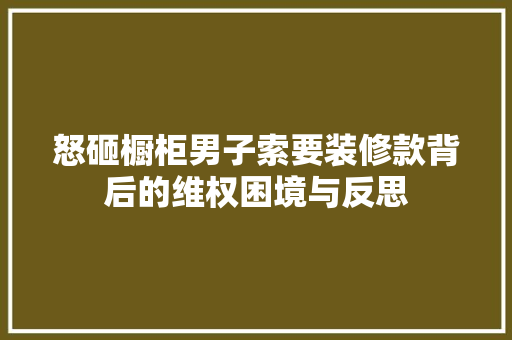 怒砸橱柜男子索要装修款背后的维权困境与反思  第1张
