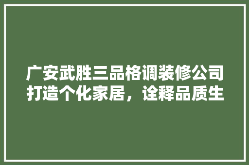 广安武胜三品格调装修公司打造个化家居，诠释品质生活新篇章