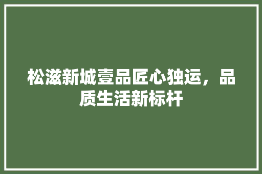 松滋新城壹品匠心独运，品质生活新标杆