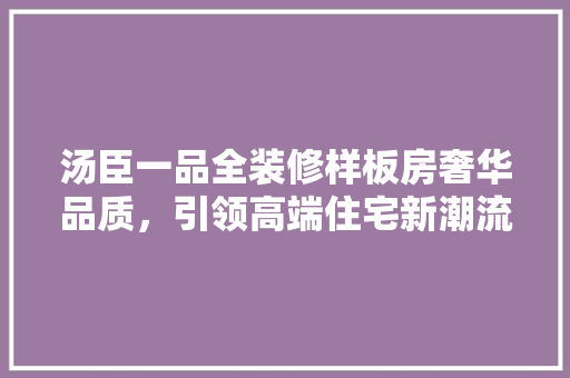 汤臣一品全装修样板房奢华品质，引领高端住宅新潮流