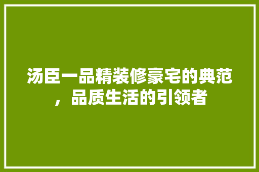 汤臣一品精装修豪宅的典范，品质生活的引领者