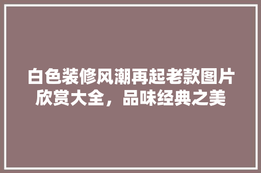 白色装修风潮再起老款图片欣赏大全，品味经典之美