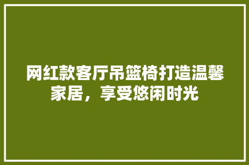 网红款客厅吊篮椅打造温馨家居，享受悠闲时光