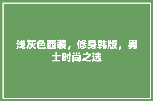 浅灰色西装，修身韩版，男士时尚之选