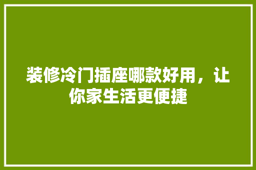 装修冷门插座哪款好用，让你家生活更便捷