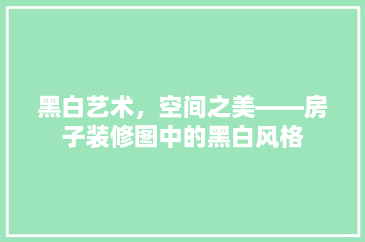 黑白艺术，空间之美——房子装修图中的黑白风格
