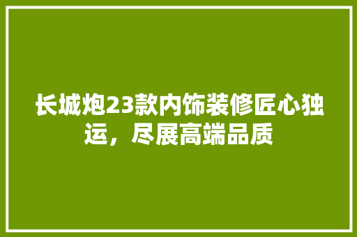 长城炮23款内饰装修匠心独运，尽展高端品质