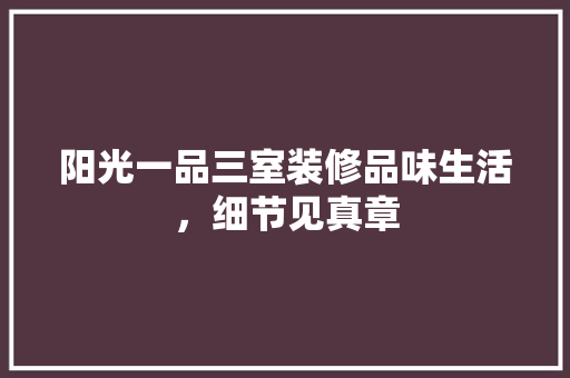 阳光一品三室装修品味生活，细节见真章