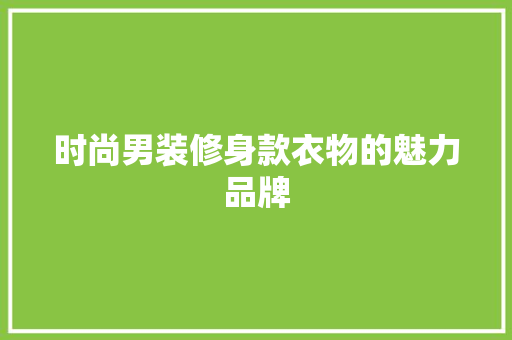 时尚男装修身款衣物的魅力品牌