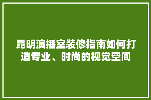 昆明演播室装修指南如何打造专业、时尚的视觉空间
