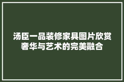 汤臣一品装修家具图片欣赏奢华与艺术的完美融合