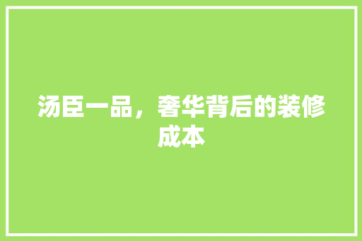 汤臣一品，奢华背后的装修成本