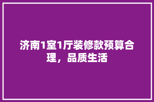 济南1室1厅装修款预算合理，品质生活