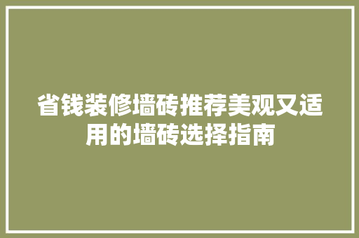 省钱装修墙砖推荐美观又适用的墙砖选择指南