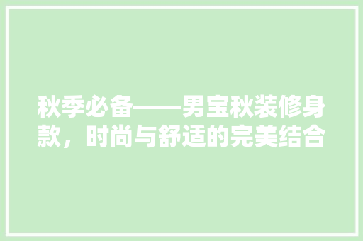 秋季必备——男宝秋装修身款，时尚与舒适的完美结合