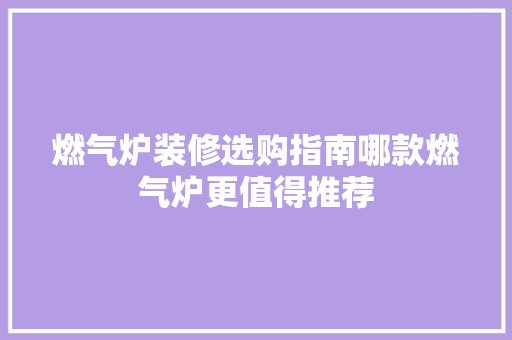 燃气炉装修选购指南哪款燃气炉更值得推荐