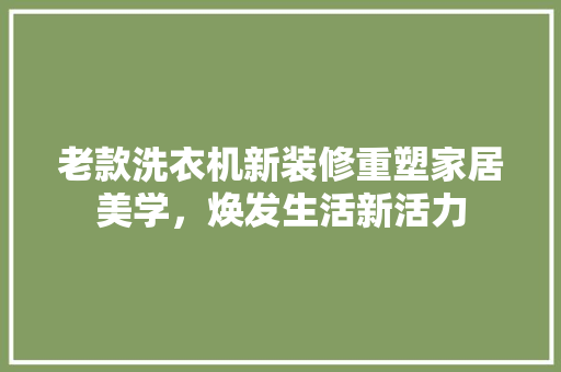 老款洗衣机新装修重塑家居美学，焕发生活新活力
