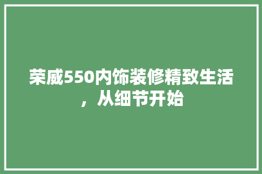 荣威550内饰装修精致生活，从细节开始