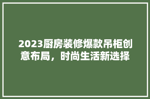 2023厨房装修爆款吊柜创意布局，时尚生活新选择