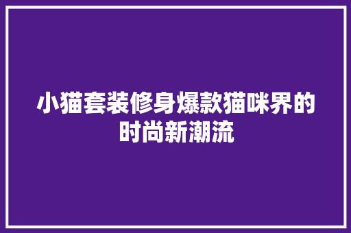 小猫套装修身爆款猫咪界的时尚新潮流