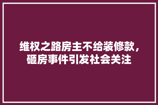 维权之路房主不给装修款，砸房事件引发社会关注  第1张