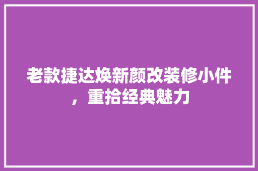 老款捷达焕新颜改装修小件，重拾经典魅力